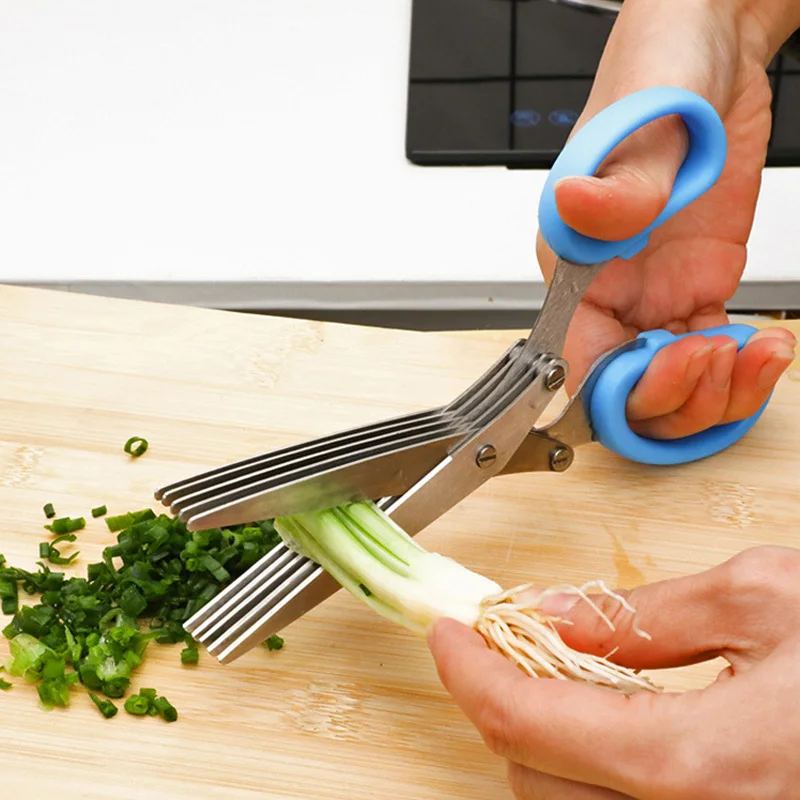 Herb Scissors 5 Blade - Multifunktionale 5-Schicht-Klinge Kräuterschere aus Stahl für