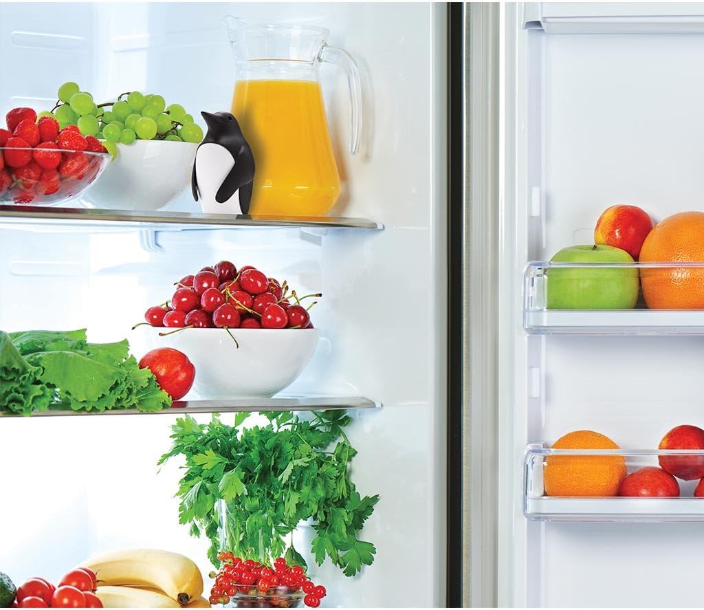 Kühlschrank-Deodorizer mit Bac – Kitchen Gadgets Holder Bewertung und Preis